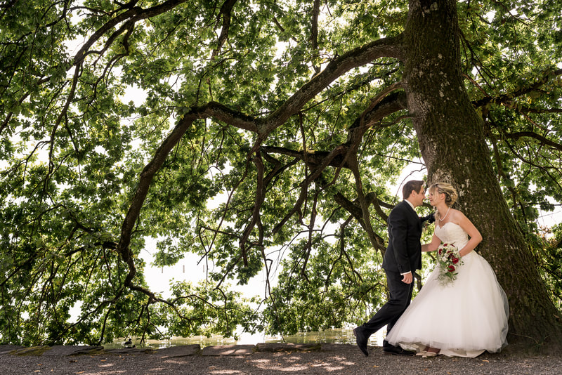 Brautpaar unter grossem Baum